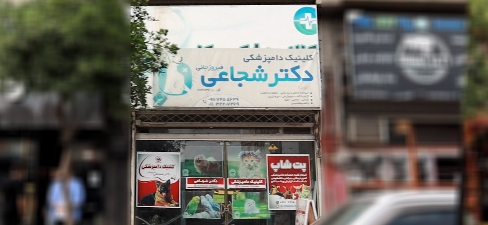 کلینیک دامپزشکی دکتر شجاعی