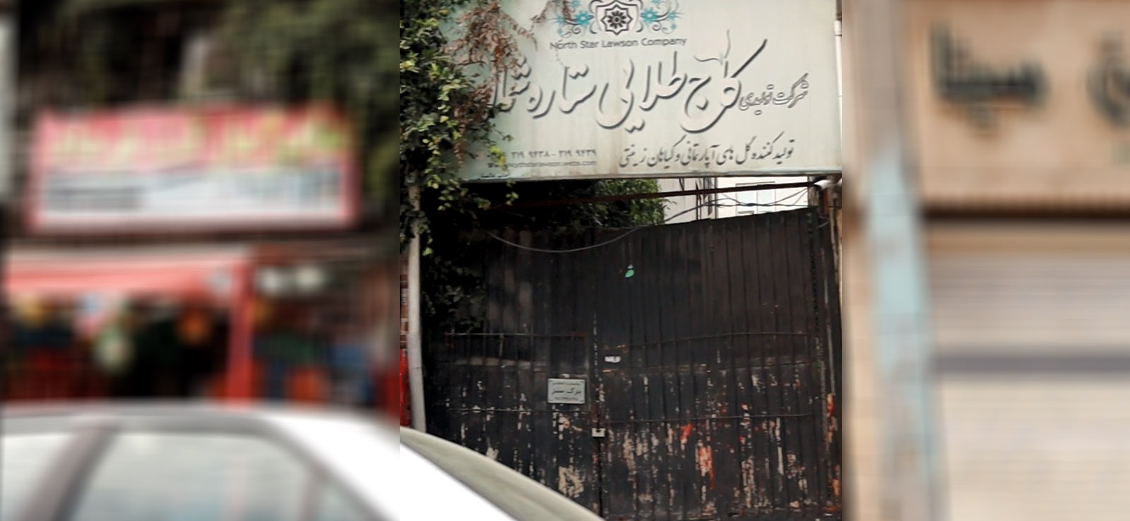 شرکت تولیدی کاج طلایی ستاره شمال