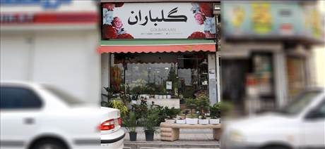 گل فروشی گلباران