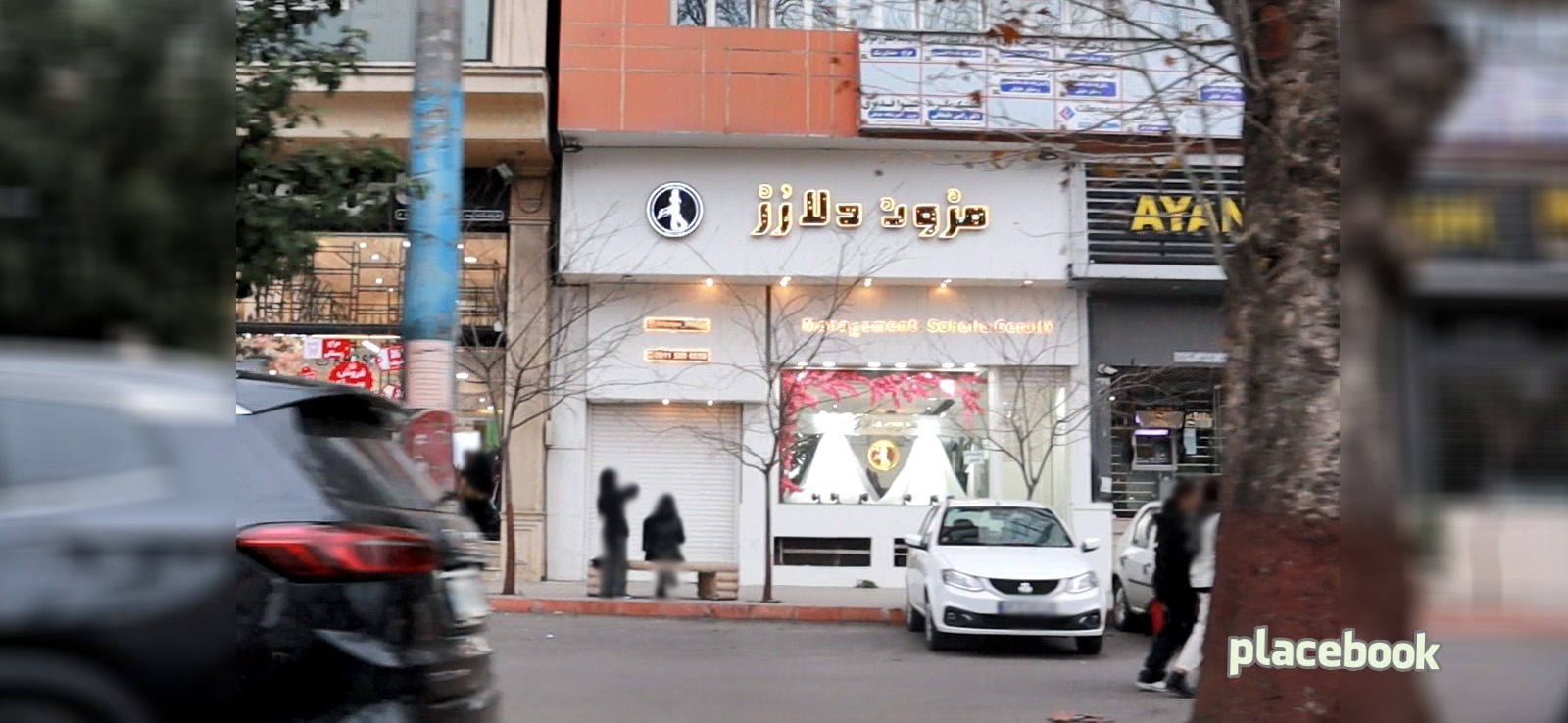 مزون دلارز
