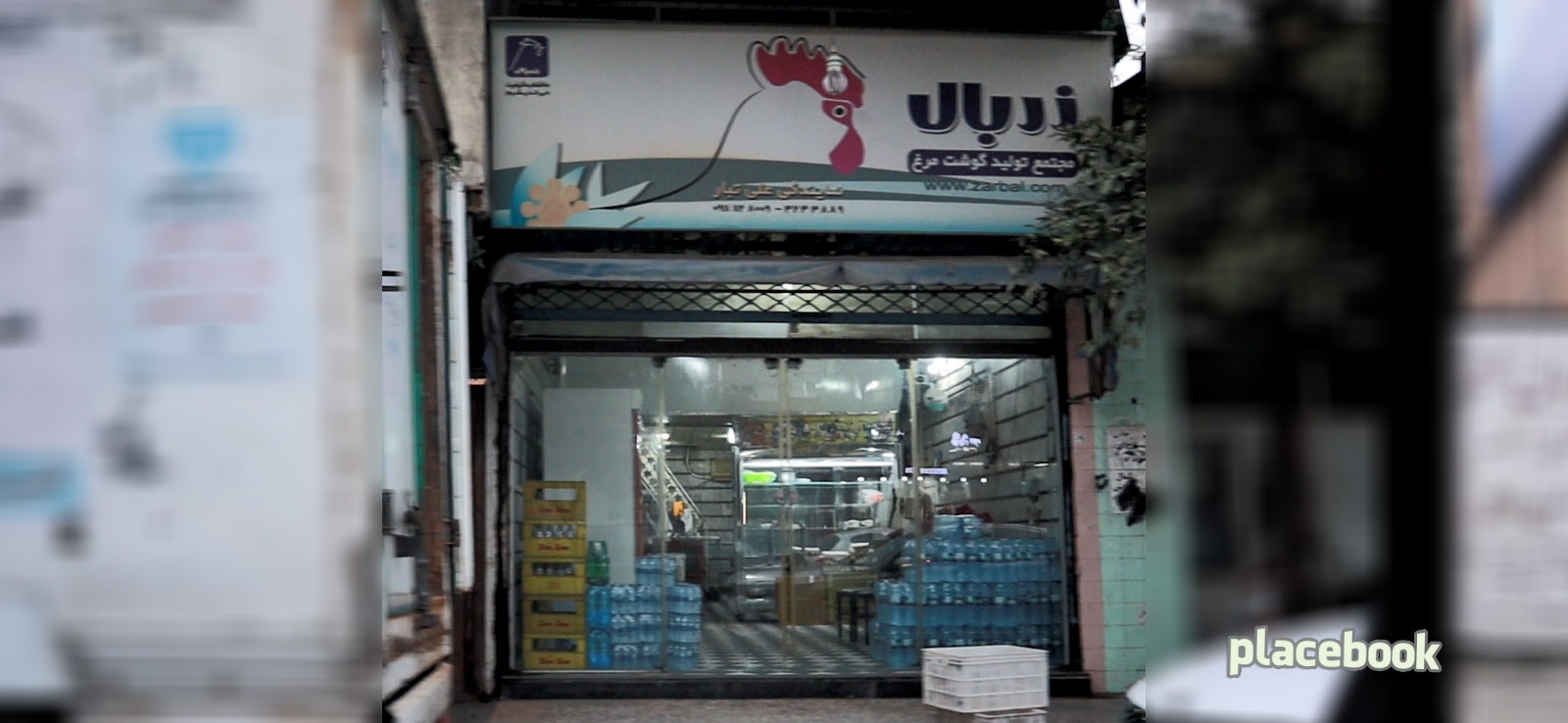 مرغ زربال - نمایندگی علی تبار