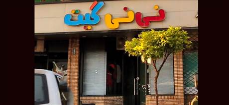 نی نی گیت