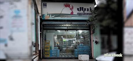 مرغ زربال - نمایندگی علی تبار